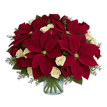 Petal Radiance Bliss