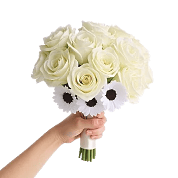 Ivory Garden Grace