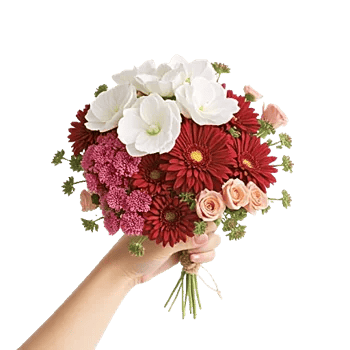 Delicate Petal Cascade