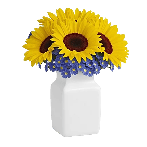 Radiant Bloom Cascade