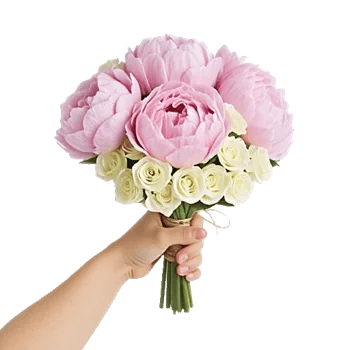 Peony Petal Harmony