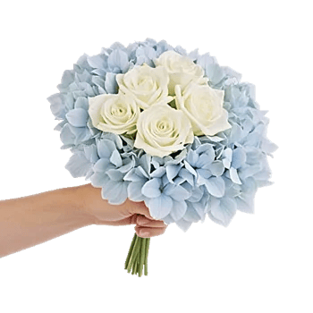 Serene Petal Harmony