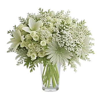 Ivory Blossom Radiance