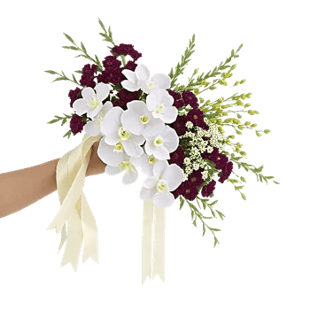 Orchid Bloom Cascade