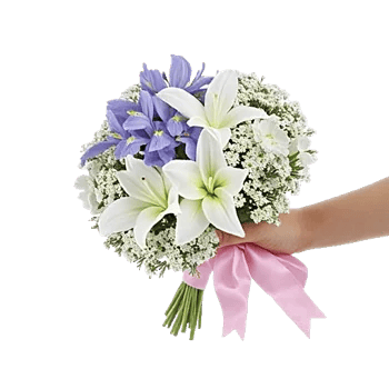 Blossom Petal Serenity