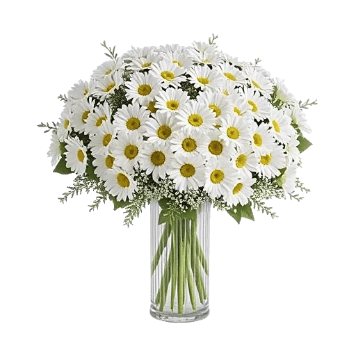 Ivory Blossom Radiance