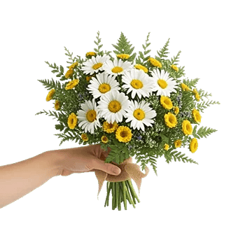 Daisy Meadow Spread