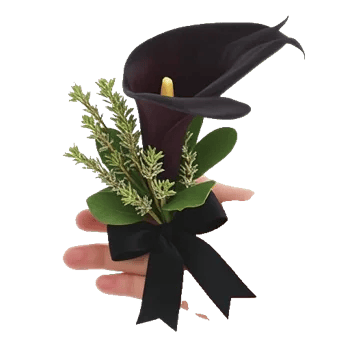 Elegant Calla Lilies