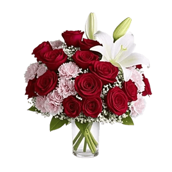 Crimson Rose Elegance