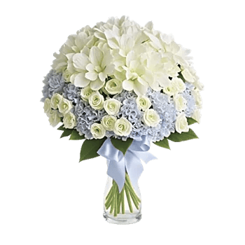 Serene Petal Harmony