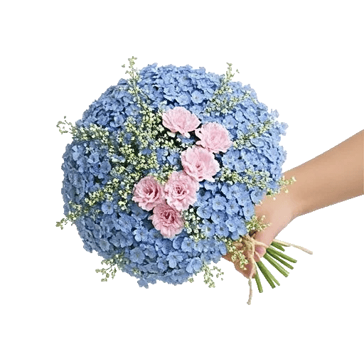 Blossom Petal Serenity