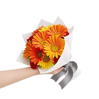 Petal Harmony Bliss