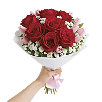 Crimson Rose Elegance