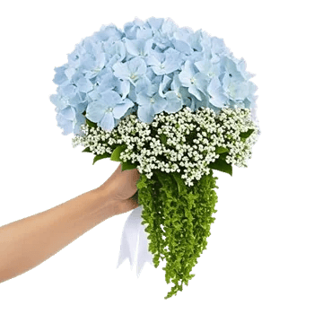 Delicate Petal Cascade