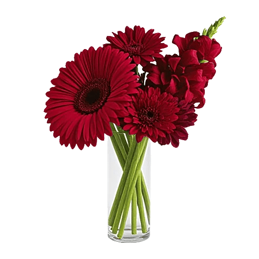 Crimson Blossom Harmony