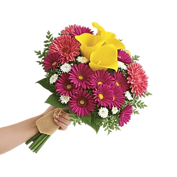 Elegant Calla Lilies
