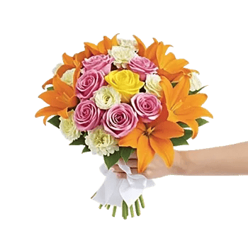 Blushing Rose Symphony