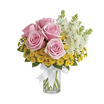 Pink Pastel Roses