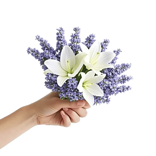 Lavender Bloom Grace