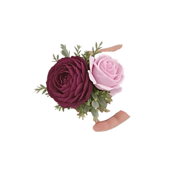 Plum Blossom Radiance