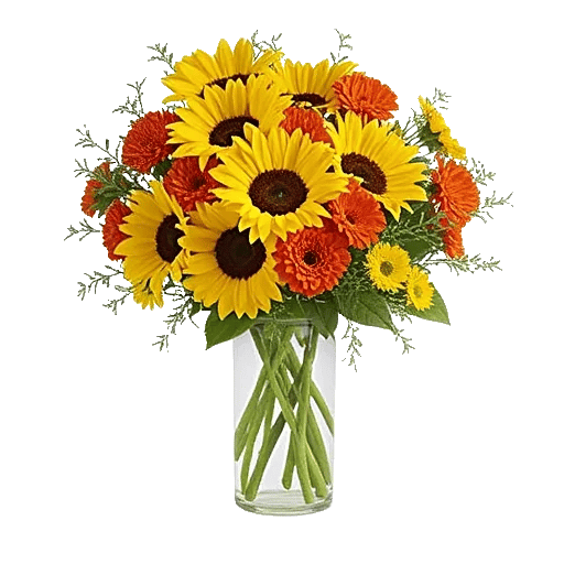 Golden Bloom Radiance