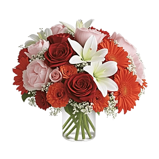 Petal Radiance Bliss