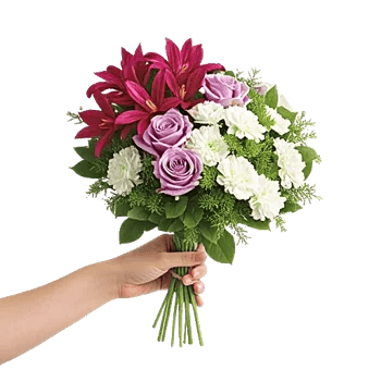 Pastel Pink Roses