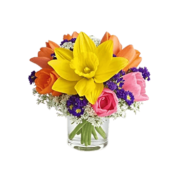 Petal Radiance Bliss