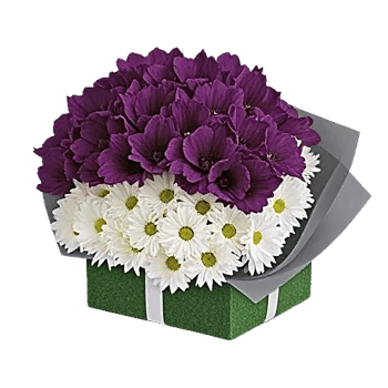 Blossom Grace Spread