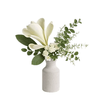 Minimalist White Orchids