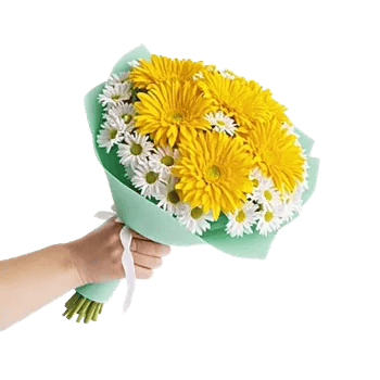 Blossom Harmony Display