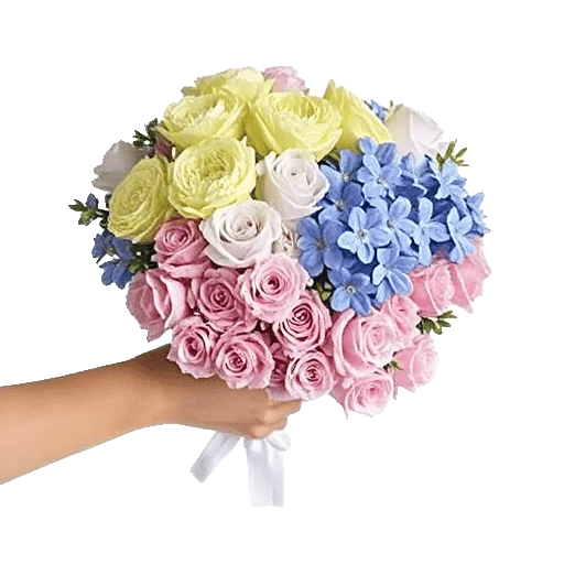 Delicate Petal Cascade