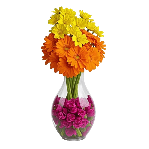 Petal Radiance Bliss