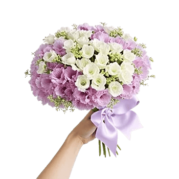 Petal Softness Display