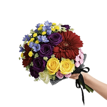 Blossom Petal Serenity