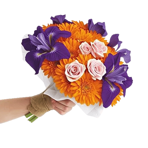 Ivory Blossom Radiance