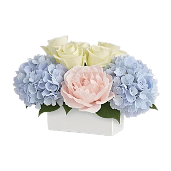 Serene Petal Harmony