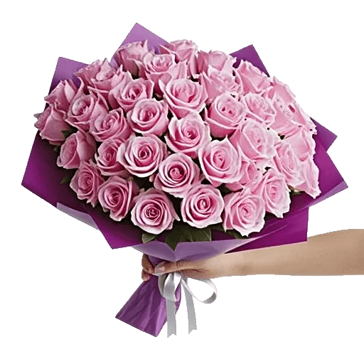 Pastel Pink Roses