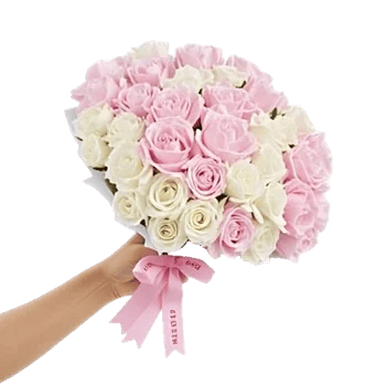 Peony Petal Harmony