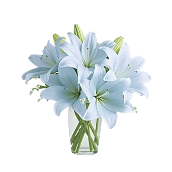 Graceful Lily Display