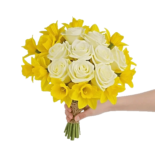 Blossom Harmony Display