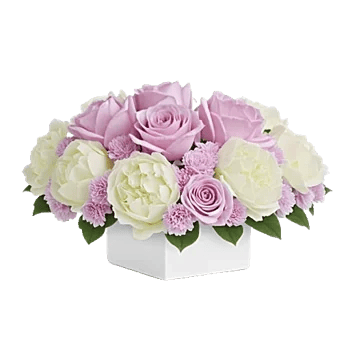 Delicate Petal Cascade