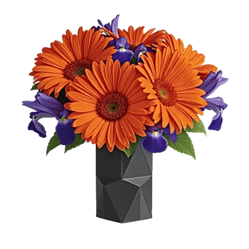 Petal Harmony Bliss