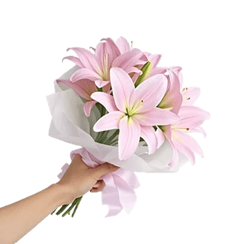 Blushing Rose Symphony