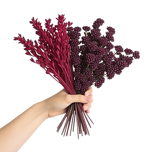 Crimson Blossom Harmony