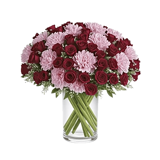 Pink Pastel Roses