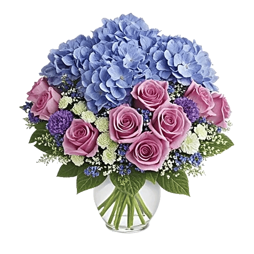 Serene Garden Harmony