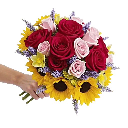 Blushing Rose Symphony