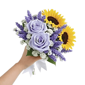 Blossom Petal Serenity