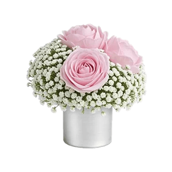 Blossom Radiant Whisper